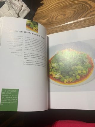 Los fogones de José Andrés: Las recetas del che...