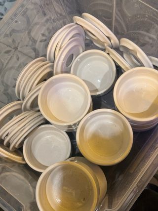 Lote Ceniceros Cerámica Blancos