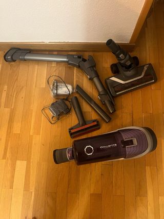 Aspiradora Rowenta Xforce Flex 8.60 Allergy