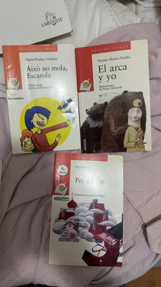 sopa de libros / sopa de llegues