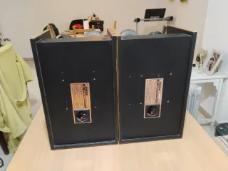 Monitores Bose 301 Music Monitor II,