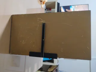 Monitores Bose 301 Music Monitor II,