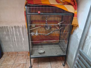 Jaula grande para loros