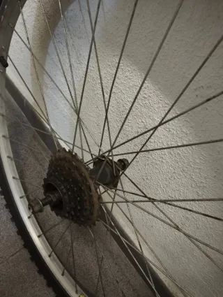 Llantas+cubiertas de bicicleta