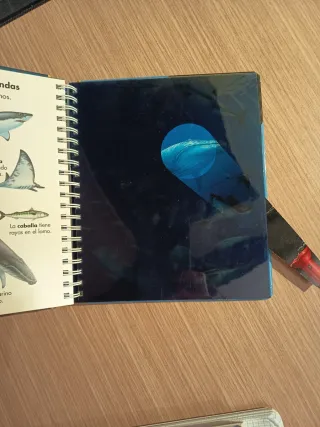 Los animales marinos (Spanish Edition)