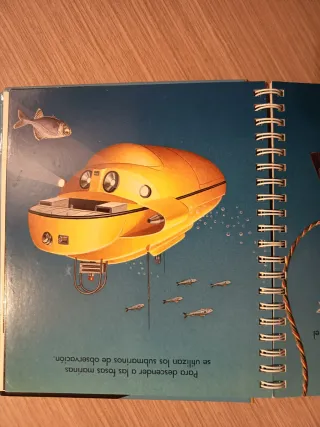 Los animales marinos (Spanish Edition)