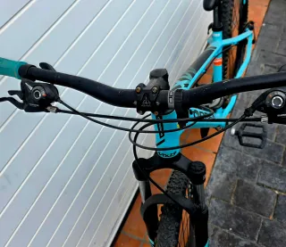 Bicicleta Orbea MX 29