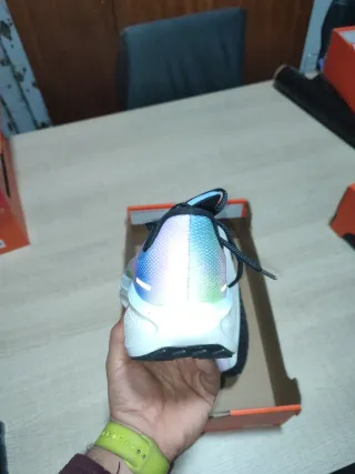 Nike Pegasus 41 Multicolor