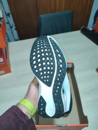 Nike Pegasus 41 Multicolor