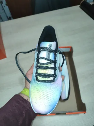 Nike Pegasus 41 Multicolor