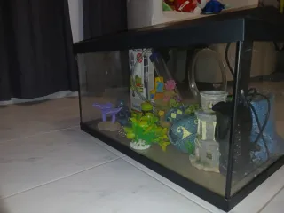 Acuario Pecera 50L con Accesorios