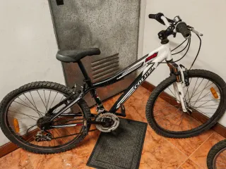 Bicicleta de montaña Coluer