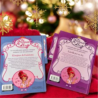 2 libros de Princess College