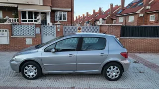 Peugeot 307 2004