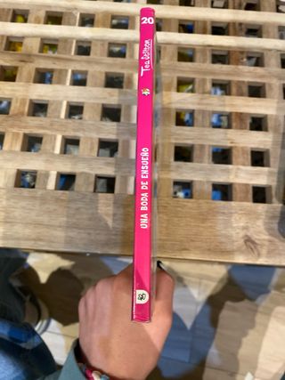 El secreto de las hadas de las nieves (Tea Stil...