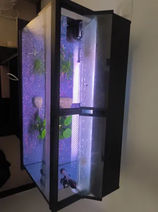 ACUARIO DE 75 LITROS.