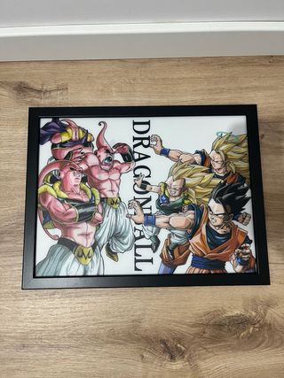 Cuadros Dragon Ball Z (DBZ)