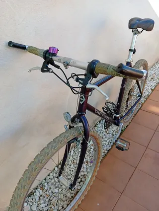 Bicicleta Gary Fisher Aquila Morada
