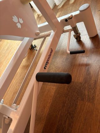 Camillas profesionales de masaje / fisioterapia