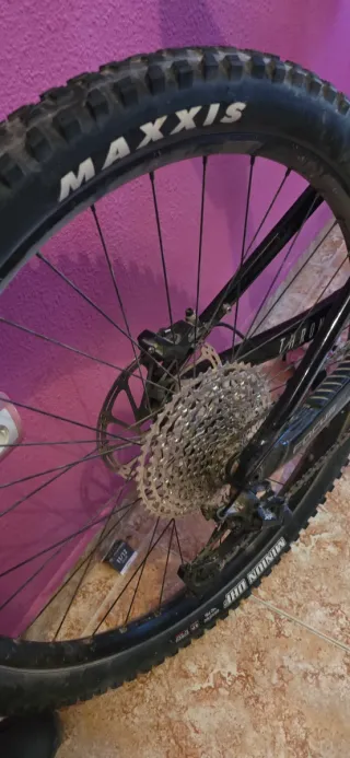 Bicicleta Eléctrica Focus Thron 2 6.8 2024