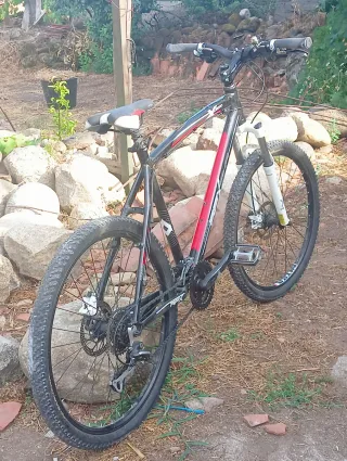 Dos bicicletas de montaña