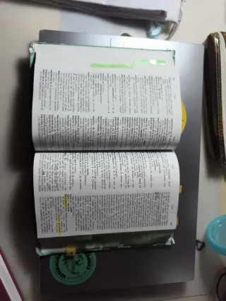 Diccionario Manual Griego. Griego clásico-Españ...