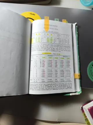 Diccionario Manual Griego. Griego clásico-Españ...