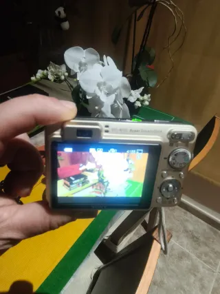 Cámara Sony DSC-W170 Plata