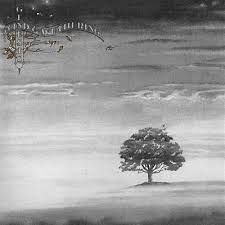 Discos Genesis y más...