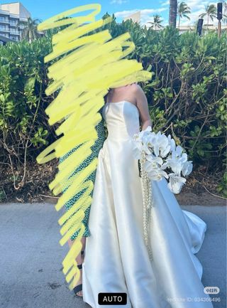 Vestido de Novia Pronovias Jory Blanco