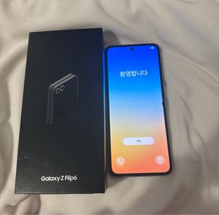 Samsung Galaxy Z Flip 6 Argento