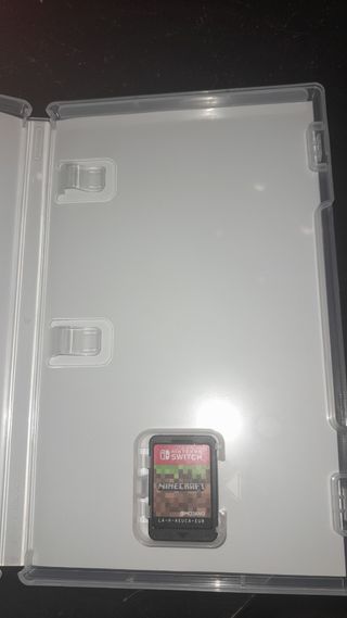 Minecraft Nintendo Switch