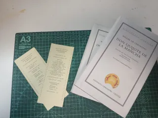 Don Quijote de la Mancha (Biblioteca clásica) ...