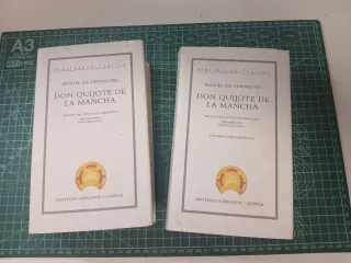 Don Quijote de la Mancha (Biblioteca clásica) ...