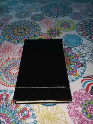 El primer descubrimiento de América