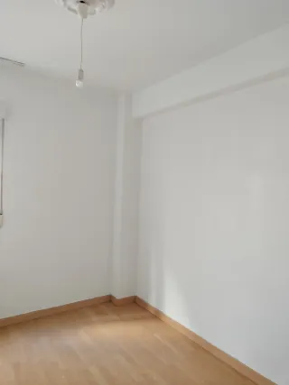 Pintor profesional y lucidos