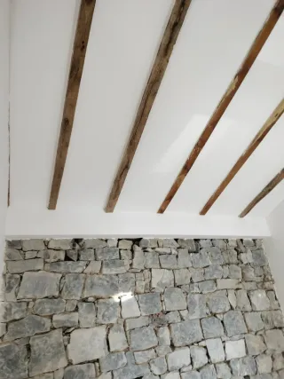 Pintor profesional y lucidos