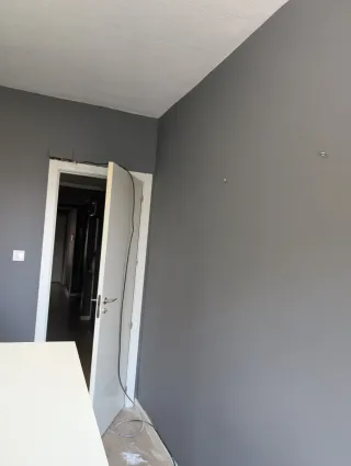 Pintor profesional y lucidos