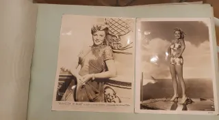 Álbum de fotos antiguo verde