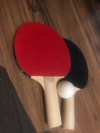 Palas de ping pong y pelota
