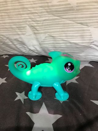 Camaleón Sunny Little Live Pets