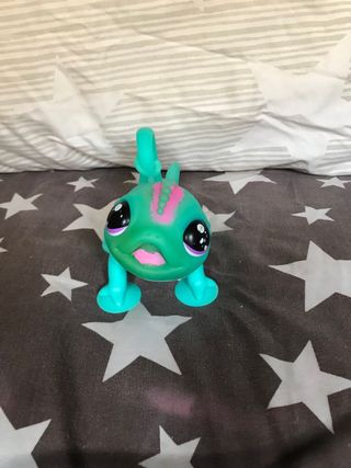 Camaleón Sunny Little Live Pets