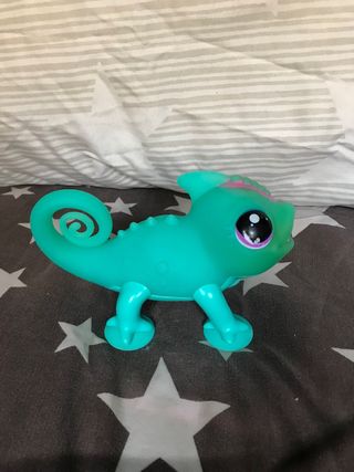 Camaleón Sunny Little Live Pets