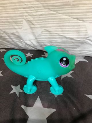 Camaleón Sunny Little Live Pets