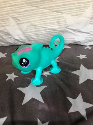 Camaleón Sunny Little Live Pets