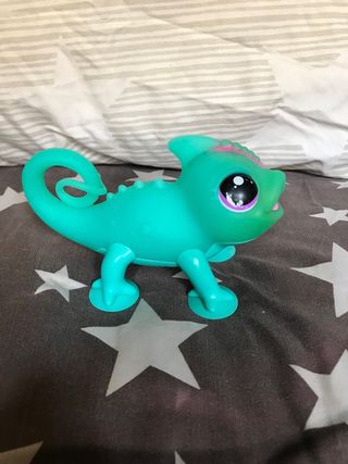 Camaleón Sunny Little Live Pets