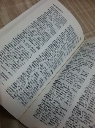 Diccionario español/italiano