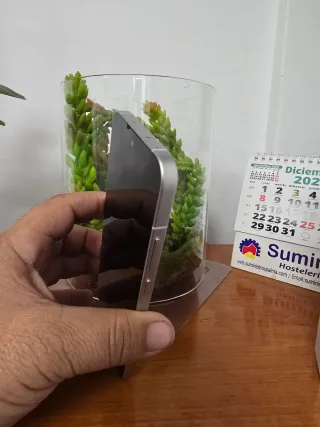 OPPO Reno13 5G Plata 12GB RAM 256GB