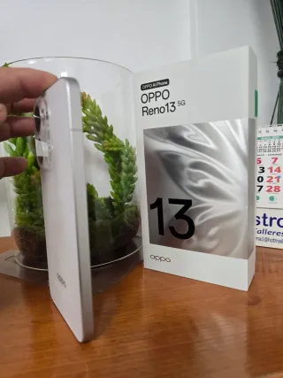 OPPO Reno13 5G Plata 12GB RAM 256GB