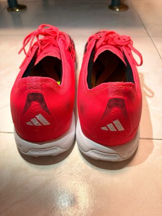 Zapatillas Adidas Predator Moqueta Pro Nuevas